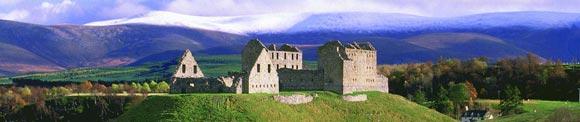 Corporate Group Tours